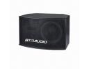 10-inch Three Way Karaoke Speaker, 300W Power - K3010